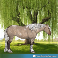 Horse Color:White Spotted Silver Brown Dun Tobiano
