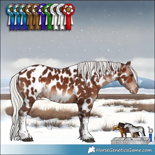 Horse Color:White Spotted Silver Brown Tobiano Appaloosa 