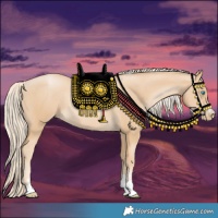 Horse Color:Palomino Pearl Rabicano 