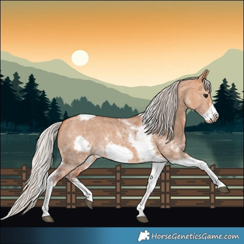 Horse Color:Silver Bay Dun Sabino Tobiano Frame Rabicano 