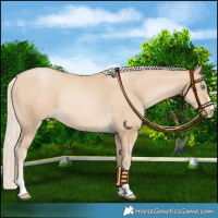 Horse Color:Palomino Pearl Rabicano 