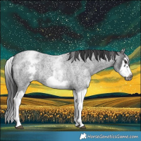 Horse Color:White Spotted Blue Roan Splash Frame Varnish 