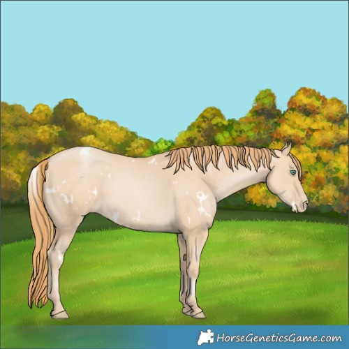 Horse Color:White Spotted Smoky Black Pearl 