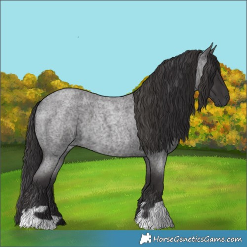 Horse Color:Smoky Blue Roan and Smoky Blue Roan