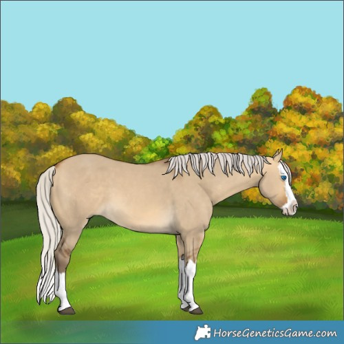 Horse Color:Silver Buckskin Dun Splash 