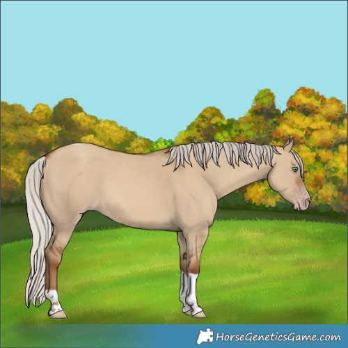 Horse Color:Gray Silver Classic Champagne Dun Tobiano 