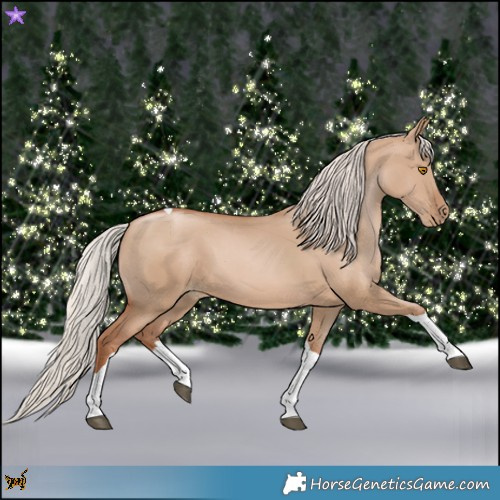 Horse Color:Silver Grullo Pearl Tobiano