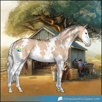 Horse Color:White Spotted Silver Bay Dun Splash 