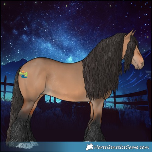 Horse Color:Bay Dun Rabicano 