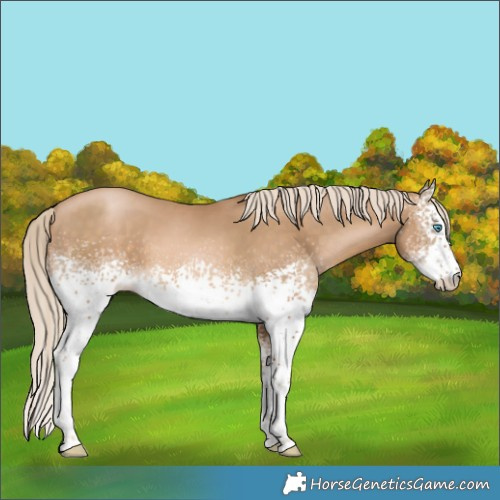 Horse Color:White Spotted Chocolate Palomino Pearl 