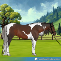 Horse Color:Liver Chestnut Tobiano 