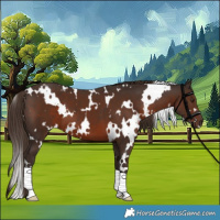 Horse Color:White Spotted Liver Chestnut 