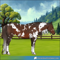 Horse Color:White Spotted Liver Chestnut 