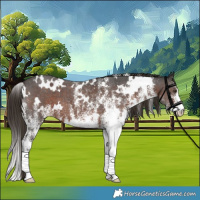 Horse Color:White Spotted Liver Chestnut 