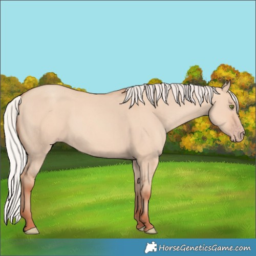 Horse Color:Silver Sable Champagne Dun 