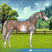 Horse Color:White Spotted Chestnut Mushroom 