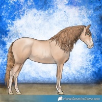 Horse Color:Gold Champagne Pearl Rabicano  and Gold Champagne Pearl Splash Rabicano 