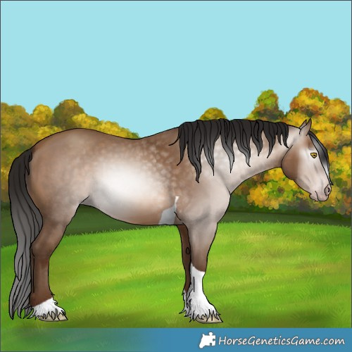 Horse Color:Gray Amber Champagne Tobiano