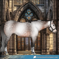 Horse Color:Gray Bay Tobiano 