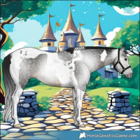 Horse Color:Gray Buckskin Tobiano 