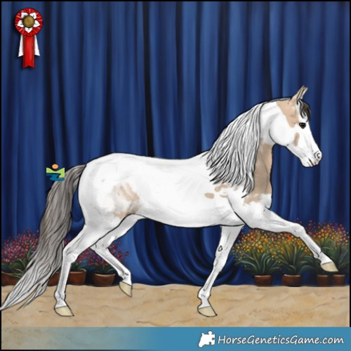 Horse Color:Bay Dun Splash Tobiano 