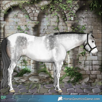 Horse Color:Gray Brown Sabino Tobiano 