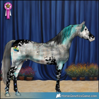 Horse Color:Plaid  Blue Onyx Ice Sabino Tobiano Appaloosa 