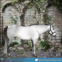 Horse Color:Gray Buckskin Roan Tobiano 