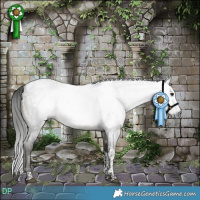 Horse Color:Gray Buckskin Roan Tobiano 