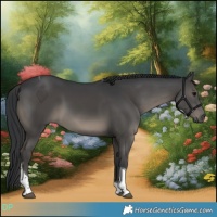Horse Color:Black Tobiano 