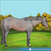 Horse Color:Brown Varnish 