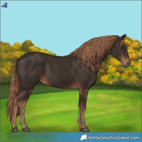 Horse Color:Liver Chestnut