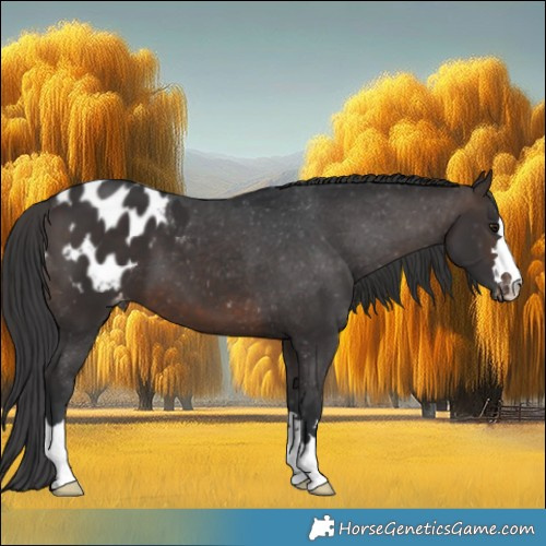 Horse Color:Brown Blanket 