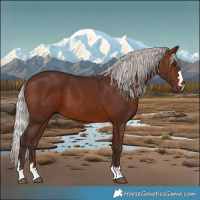 Horse Color:Silver Brown 