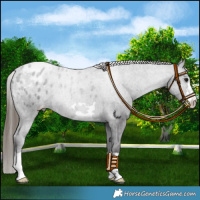 Horse Color:Smoky Black Varnish 