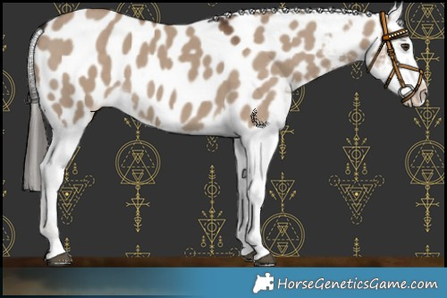 Horse Color:Liver Red Dun Blanket 