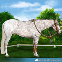 Horse Color:Red Roan Snowflake Varnish 