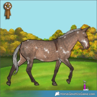 Horse Color:White Spotted Silver Brown Dun Mushroom 