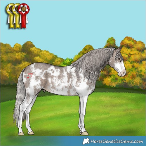 Horse Color:White Spotted Silver Brown Dun Sabino 