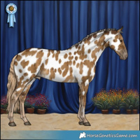 Horse Color:Chocolate Palomino Dun Appaloosa Brindle 