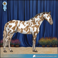 Horse Color:Chocolate Palomino Dun Near Leopard Brindle 