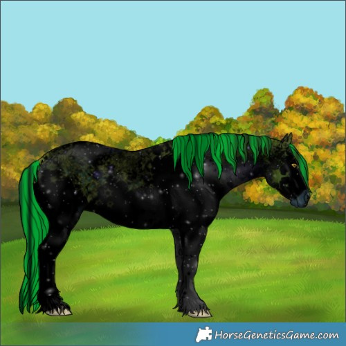 Horse Color:ERROR: UNKNOWN ANOMALY