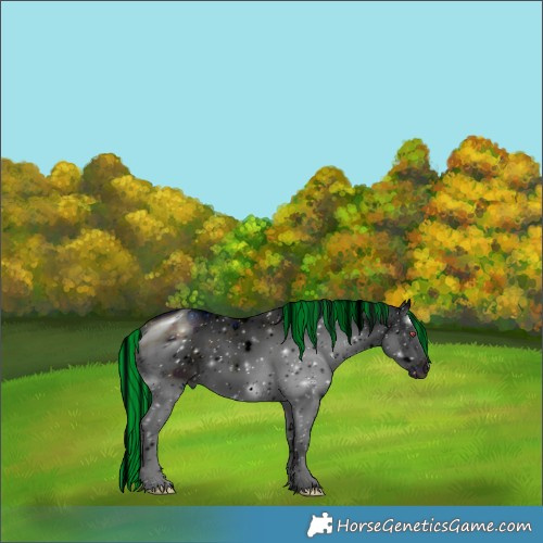 Horse Color:ERROR: UNKNOWN ANOMALY