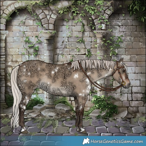 Horse Color:White Spotted Silver Bay Ice Dun Rabicano 