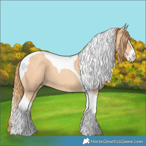 Horse Color:Gold Champagne Splash Tobiano 