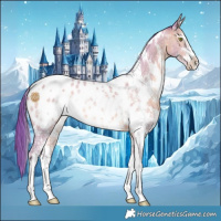 Horse Color:Watercolor White Spotted Sable Champagne Sabino Near Leopard Rabicano