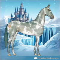 Horse Color:Watercolor White Spotted Brown Dun 