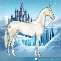 Horse Color:Watercolor White Spotted Silver Classic Champagne 