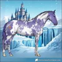 Horse Color:Watercolor White Spotted Black