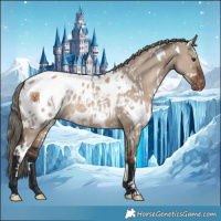 Horse Color:White Spotted Liver Red Dun Mushroom Appaloosa 